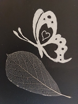 Papillon Folio