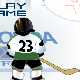 Jeu gratuit HockeySurGlace